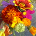 Clayton Flowers Photo 6