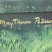Terese Peterson Photo 10