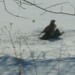 Jay Cooper Photo 14