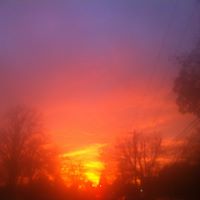 Frank Fusco Photo 25