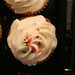 Dale Sprinkle Photo 19