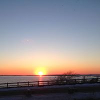 Arlene Peterson Photo 12
