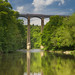 William Jessop Photo 5