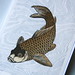 David Carp Photo 12