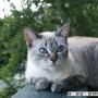 Sandra Barnhart Photo 5
