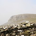 Robin Proctor Photo 12