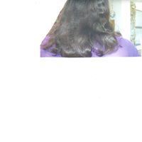 Shirley Lutz Photo 6