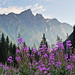 Roger Flowers Photo 10