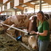 Allyson Jones Photo 31