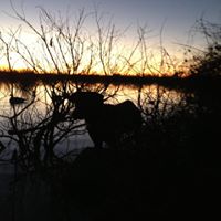William Elmore Photo 18