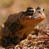 David Groover Photo 20
