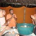 Krishna Root Photo 4