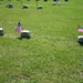 Michael Reece Photo 39