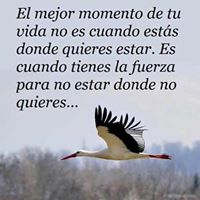 Nancy Aranda Photo 24