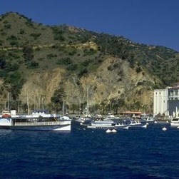 Steven Lake Photo 4