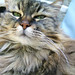 Linda Kindred Photo 15