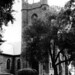 Charles Haight Photo 36