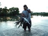 Ron Wheeler Photo 13