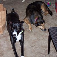 Kathy Gruber Photo 29