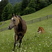 Tina Mohr Photo 19