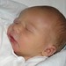 Nicholas Sanders Photo 18