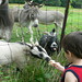 Matthew Ruder Photo 9