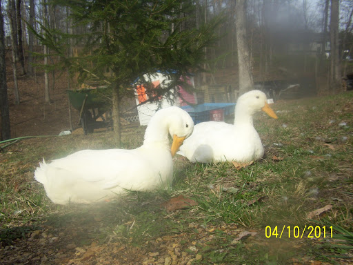 Catherine Hess Photo 9