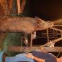 John Cargile Photo 20