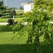 Debra Cherry Photo 32