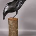 Cynthia Bower Photo 39