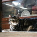 Annie Heard Photo 10