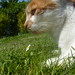Freddie Summers Photo 27
