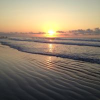 Lisa Anthony Photo 15