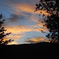 Connie Bray Photo 7