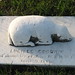 John Goodwin Photo 20