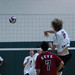 Max Greer Photo 8