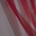 Lesley Palmer Photo 11