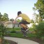 Thomas Brock Photo 20