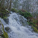 Donald Creek Photo 8