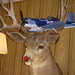 Joyce Buckner Photo 16