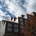 Charles Sharp Photo 21