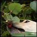 Sandy Berry Photo 27