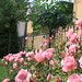 Maria O'Neil Photo 8