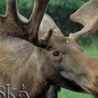 Kathy Shuler Photo 12