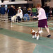 Carol Nickels Photo 6