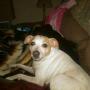 Teresa Plummer Photo 8