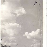 Terry Merrill Photo 18