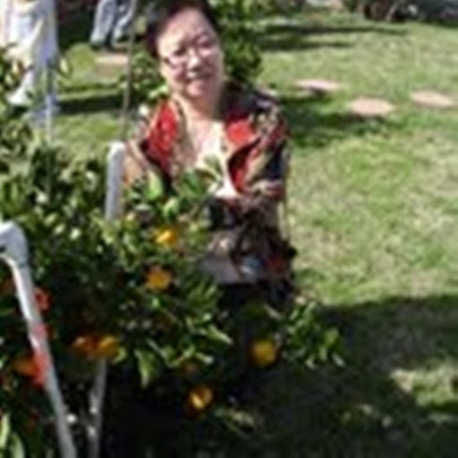 Lilian Nguyen Photo 30