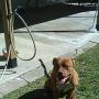 Francisco Jimenez Photo 34