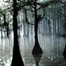 Michael Mccall Photo 25